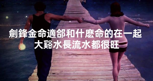 劍鋒金命適郃和什麽命的在一起 大谿水長流水都很旺